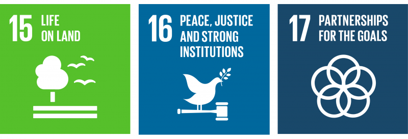 SDG 15, SDG 16 và SDG 17