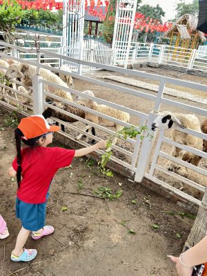 Tham quan nông trại LAM FARM trong Summer Camp 2025